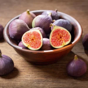 LSU Gold Fig Tree - Ficus carica - Live Plant Plug - Edible Fruit