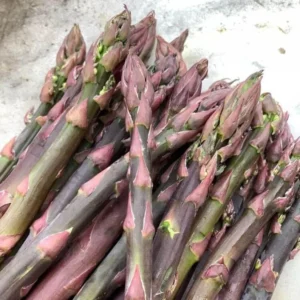 Purple Passion Asparagus Plants - 10 Crowns - 2 Year Healthy Roots - Garden Ready