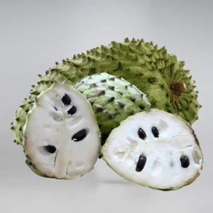 Soursop Plant Live for Planting 5-8 Inch Sweet Soursop Tree Seedling