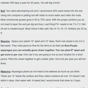 Asparagus Garden Variety Pack: Jersey Knight, Mary Washington, Purple Passion - 30 Crowns