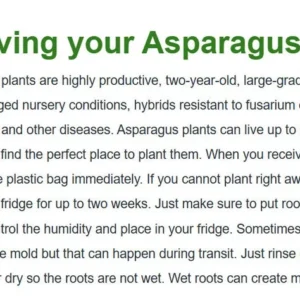 Asparagus Garden Variety Pack: Jersey Knight, Mary Washington, Purple Passion - 30 Crowns