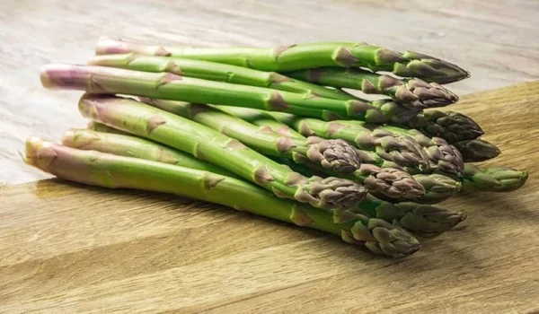 Asparagus Plants: 25 Heirloom 'Mary Washington' Crowns - 2 Year Roots - Buy 4 Get 1 Free!