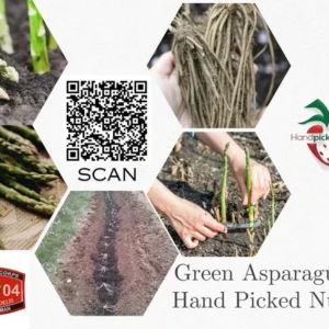 Asparagus Plants Heirloom - 5 Asparagus Crowns - 2 Year Healthy Roots - Buy 4 Get 1 Free