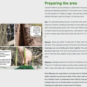 Asparagus Plants Heirloom - 5 Asparagus Crowns - 2 Year Healthy Roots - Buy 4 Get 1 Free