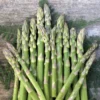Asparagus Plants Heirloom Mary Washington Crowns - 2 Year Old Roots - Buy 4 Get 1 Free!