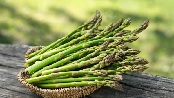 Asparagus Variety Bareroot Pack - Fall Planting Vegetable Mix - 25 Plants Total