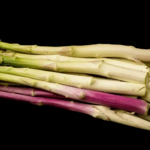 Asparagus Variety Bareroot Pack - Fall Planting Vegetable Mix - 25 Plants Total