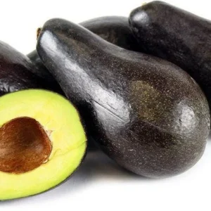 Avocado Tree - 1 Feet Tall Grafted Tree - Fruit Tree Sapling