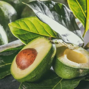 Avocado Tree - Grafted 1 ft Tree - Easy to Grow Fruit Tree