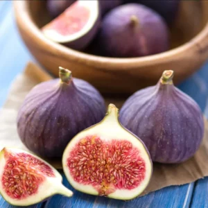 Black Mission Fig Plant - Live Starter Tree - Sweet & Juicy Fruiting Variety