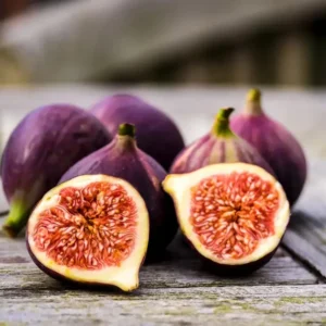 Black Mission Fig Plant - Live Starter Tree - Sweet & Juicy Fruiting Variety