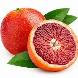 Blood Orange Tree - Grafted Citrus Tree - 2+ ft Tall - Exotic Citrus Variety - Not Ship CA