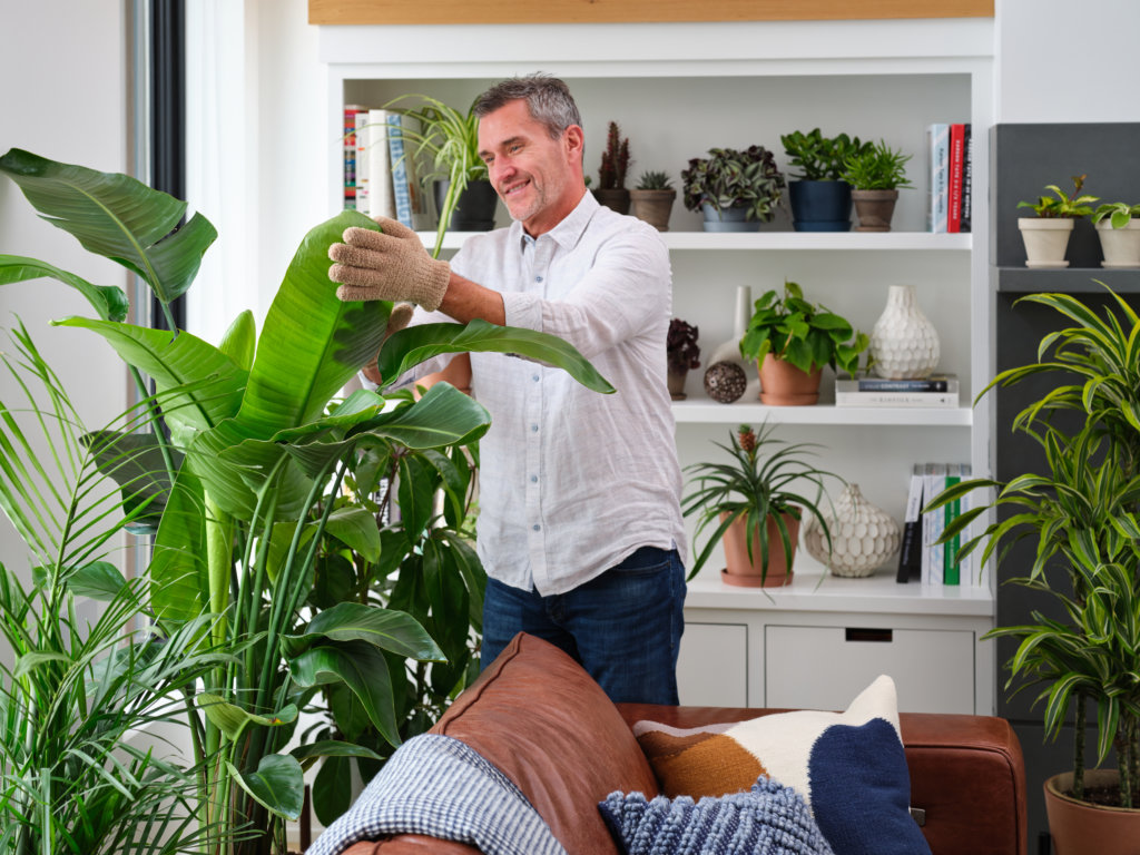 father's day plant gift ideas