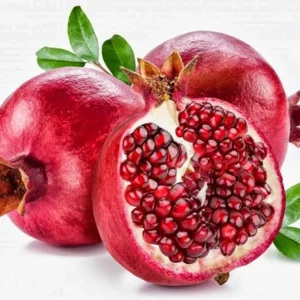 Desertnyi Pomegranate Tree - 1-2 Ft Fruit Plant - 6 Inch Pot