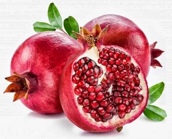 Desertnyi Pomegranate Tree - 1-2 Ft Fruit Plant - 6 Inch Pot