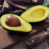 Edranol Avocado Tree - 1 ft Grafted Fruit Tree - Ships in Bag