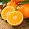 Fallglo Tangerine Tree - 3 Feet Citrus Tree - 1 Gallon Potted - Not Ship CA