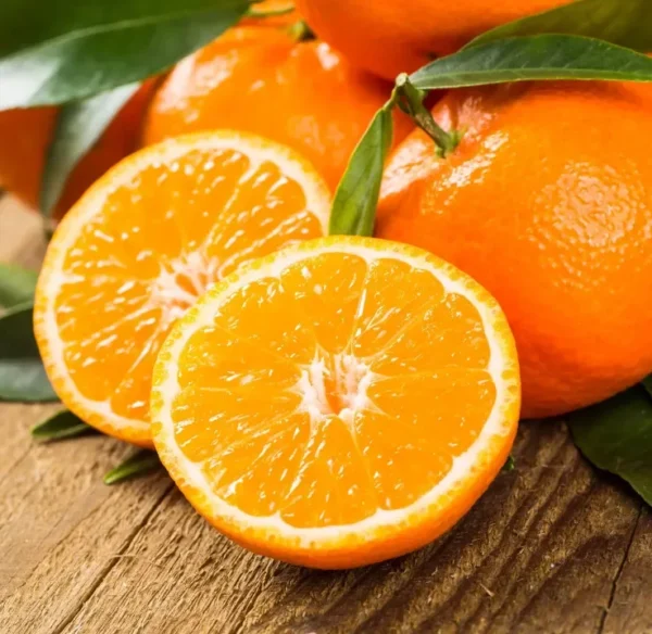 Fallglo Tangerine Tree - 3 Feet Citrus Tree - 1 Gallon Potted - Not Ship CA