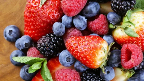 Fruit Garden Collection - Raspberry, Blackberry, Blueberry, Strawberry Plants