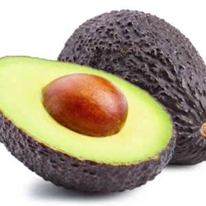 Gem Avocado Tree - Grafted Fruit Tree - 2 to 3 Feet Tall - 3 Gal Pot