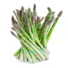 Grande F1 Asparagus Crowns 50 Pack - 2 Year Old - Green Vegetable Plants