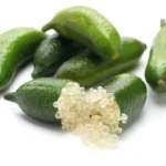 Green Finger Lime Tree - Live Plant - 1 to 2 ft Tall - Ready to Plant - Not Ship CA