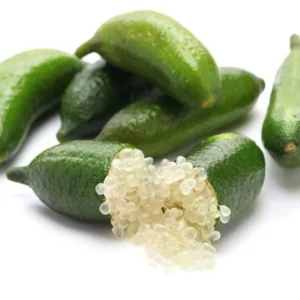 Green Finger Lime Tree - Live Plant - 1 to 2 ft Tall - Ready to Plant - Not Ship CA