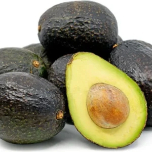Hass Avocado Tree - Grafted Tree - 2 to 3 Feet Tall - 3 Gal Pot