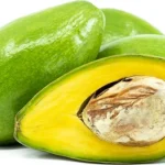Hass Catalina Avocado Tree - 2 ft Potted Fruit Tree - 3 Gallon - Includes Soil - Not Ship CA