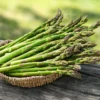 Jersey Knight Asparagus Plants - 2 Year Crowns - Buy 4 Get 1 Free
