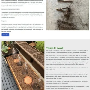 Joan J Raspberry Plant - Bare Root - Set of 5 Live Raspberry Plants