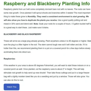 Joan Raspberry Plant Bare Root - Easy Grow Fruit Plant