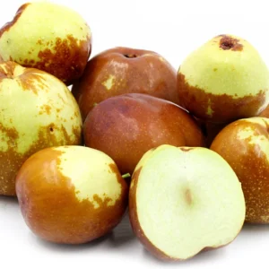 Jujube Li Tree - Grafted Fruit Tree - 1 to 2 Feet Tall - 6 Inch Pot