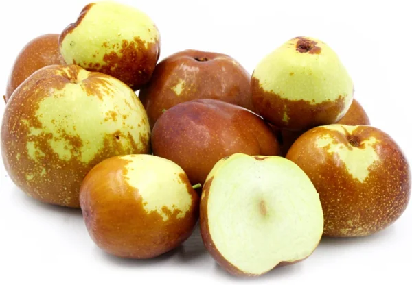 Jujube Li Tree - Grafted Fruit Tree - 1 to 2 Feet Tall - 6 Inch Pot