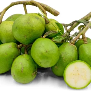 June Plum Tree - 2 to 3 Feet Tall - Tropical Fruit Tree in 3-Gal Pot - Not Ship CA