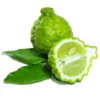 Kaffir Lime Tree - 2 to 3 Ft Citrus Plant - 2 Gallon - Fragrant Leaves - Indoor/Outdoor - Not Ship CA