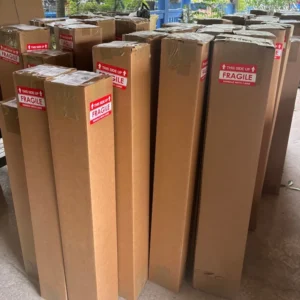 Harvey Lemon Tree - Live Citrus Plant 2 Feet Tall in 1 Gallon Pot - Not Ship CA