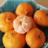 Kishu Mandarin Tree - 1 Gallon Potted Citrus Tree - Easy to Grow - Not Ship CA