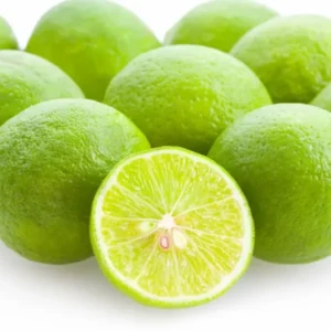 Lakeland Limequat Tree - Grafted Citrus Tree - 2 Feet Tall - Juicy Fruit Plant