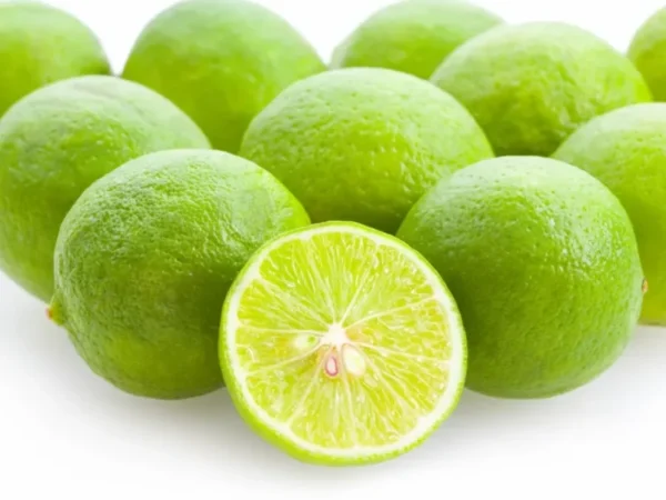 Lakeland Limequat Tree - Grafted Citrus Tree - 2 Feet Tall - Juicy Fruit Plant
