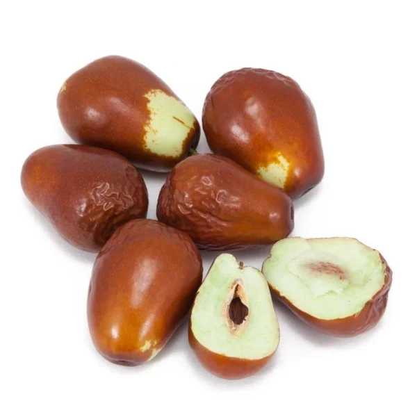 Lang Jujube Tree - 3 Feet Tall Grafted Tree - 3 Gal Pot