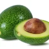 Little Cado Avocado Tree - 2 ft Grafted Tree - 6 inch Pot
