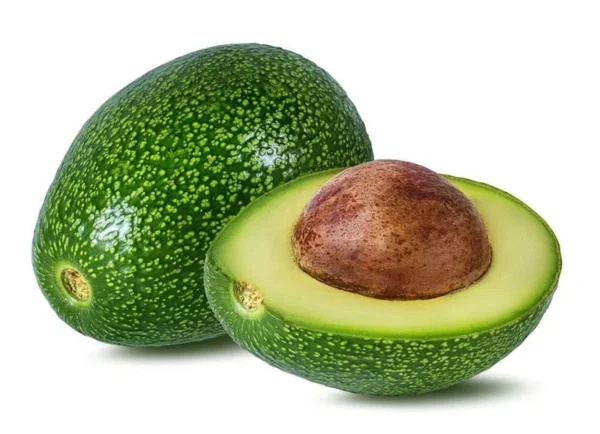 Little Cado Avocado Tree - 2 ft Grafted Tree - 6 inch Pot