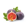 Live Fig Tree Plant - 2 Feet Tall - 3-Gallon Pot - Delicious Fruit - Garden Ready - Not Ship CA