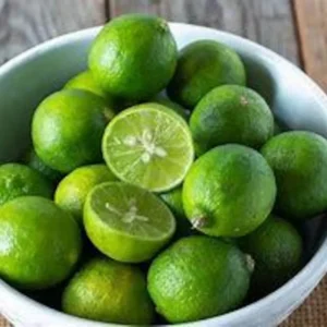 Live Grafted Key Lime Tree - 2 Feet Tall - Ships with Soil and Pot - Not Ship CA