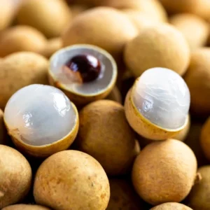 Longan Biew Kiew Tree - 3 Gal Exotic Fruit Tree for Garden - Not Ship CA