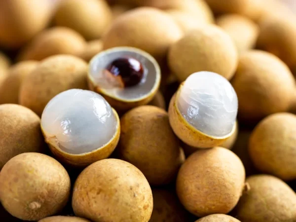 Longan Biew Kiew Tree - 3 Gal Exotic Fruit Tree for Garden - Not Ship CA