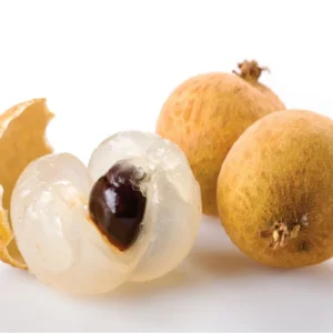 Longan Tree Sri Chompoo Live Plant - 2 to 3 Feet Tall - 3 Gallon Pot - Shipped with Soil - Not Ship CA