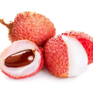 Lychee Tree Live Plant - 3 Feet Tall in 3 Gallon Pot - Ready for Your Garden - Not Ship CA