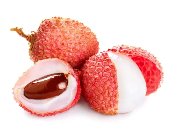 Lychee Tree Live Plant - 3 Feet Tall in 3 Gallon Pot - Ready for Your Garden - Not Ship CA
